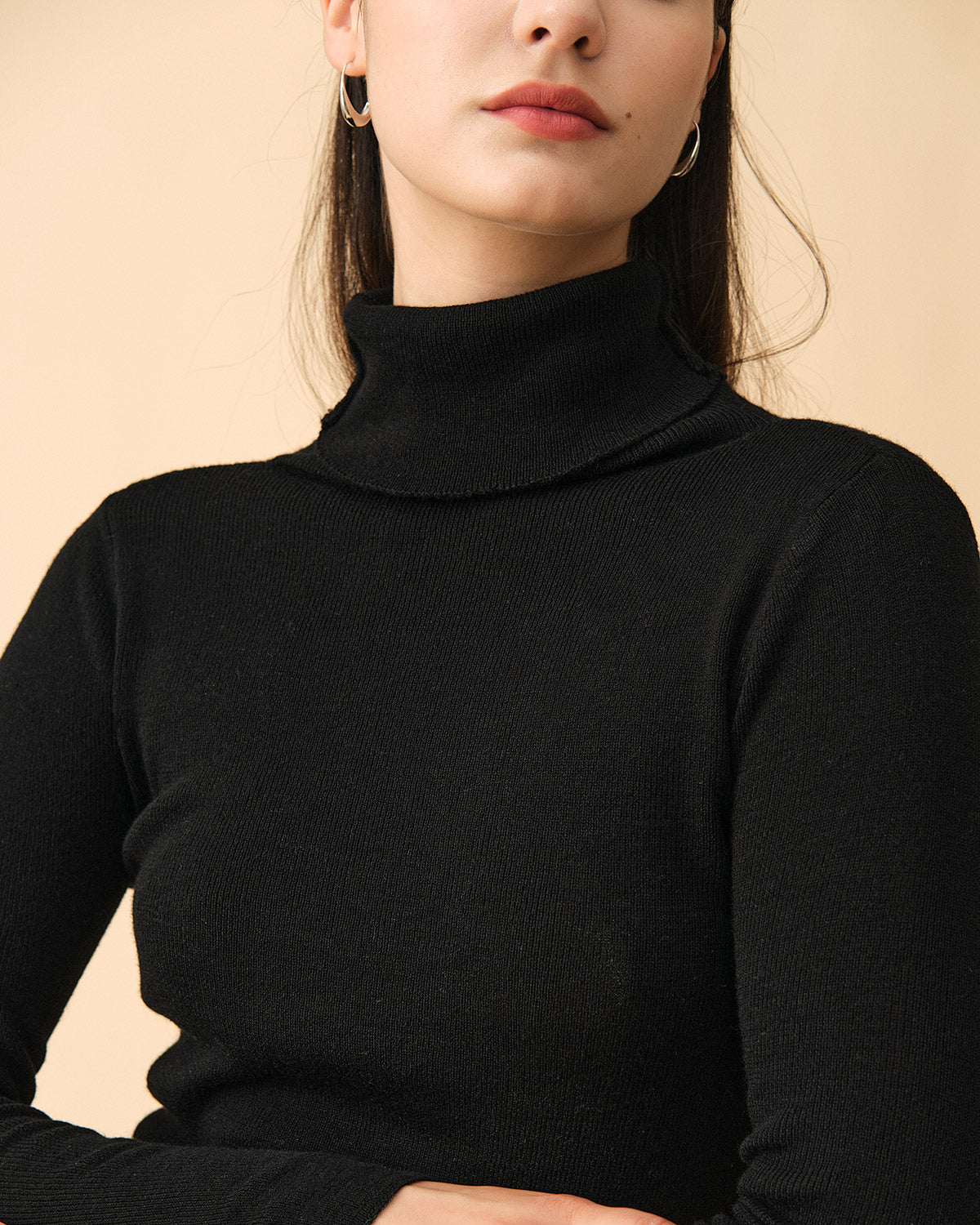 The Solid Turtleneck Ribbed Sweater Countdown Package Cheap Pice