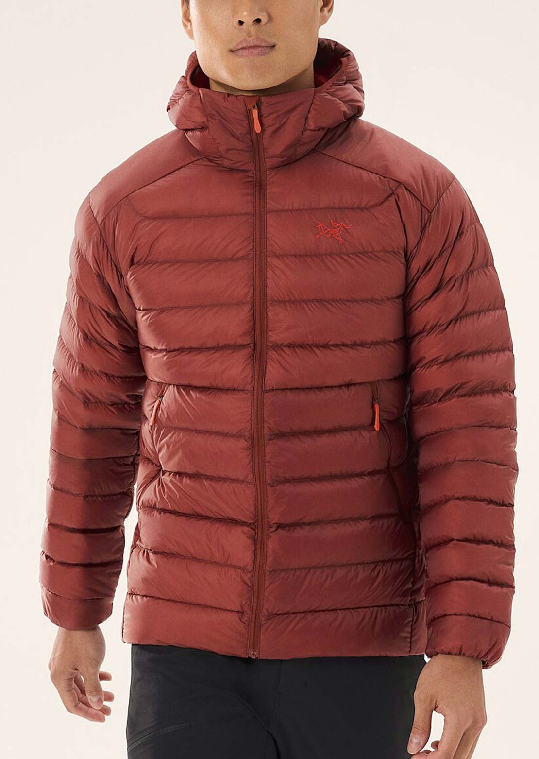 Arc'teryx Men's Cerium Hood Jacket