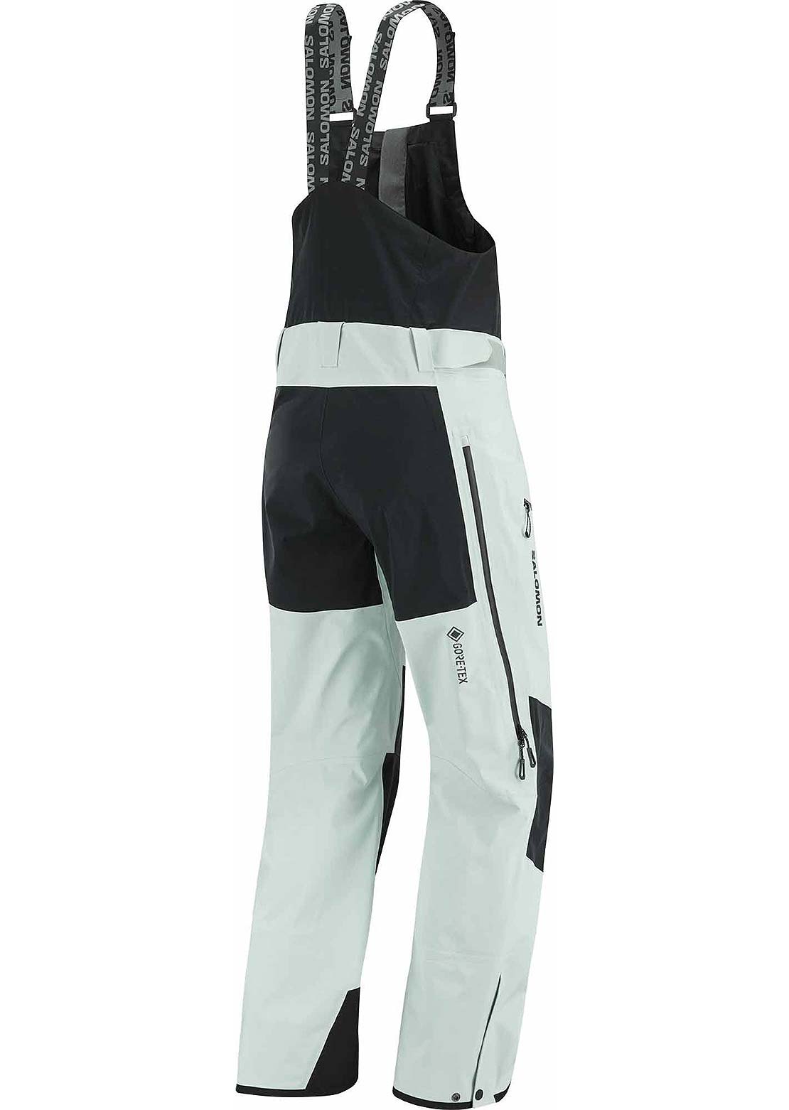 Salomon Women's Moon Patrol Gore-Tex Bib Pants