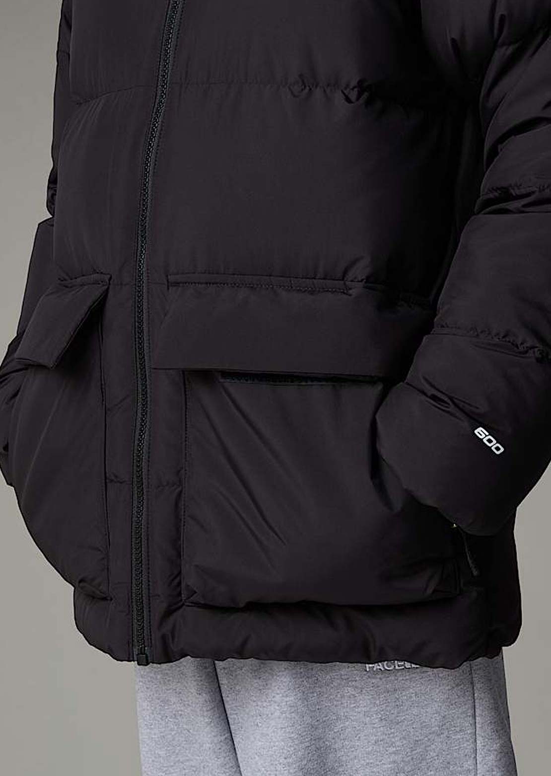 The North Face Junior North Down Fleece Lined Short Parka Best Pices Cheap Pice