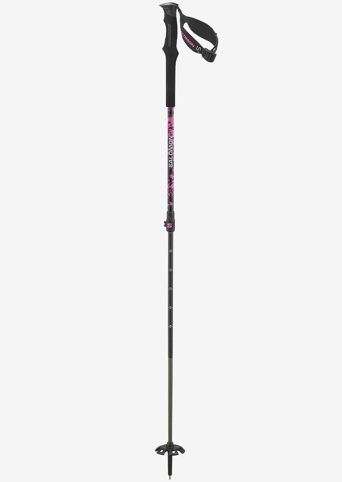 Salomon Unisex QST Carbon S3 Ski Poles Lowest Pice Cheap Pice