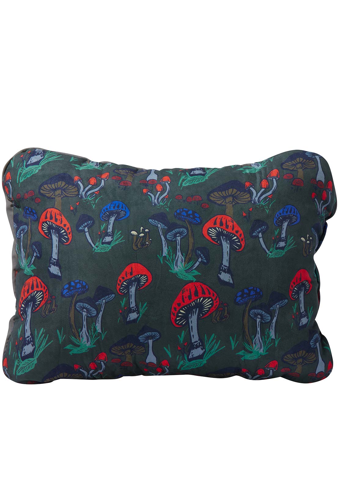 Therm-A-Rest Compressible Pillow Cinch Cheap Buy