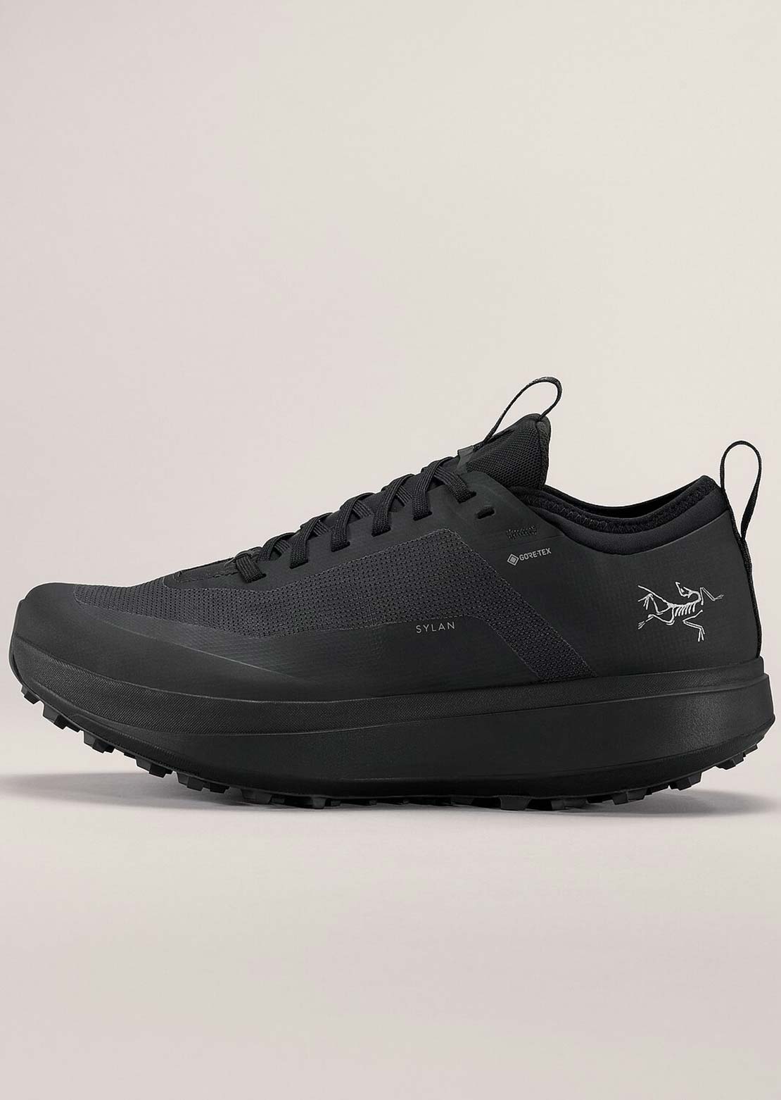 Arc'teryx Men's Sylan GTX Shoes