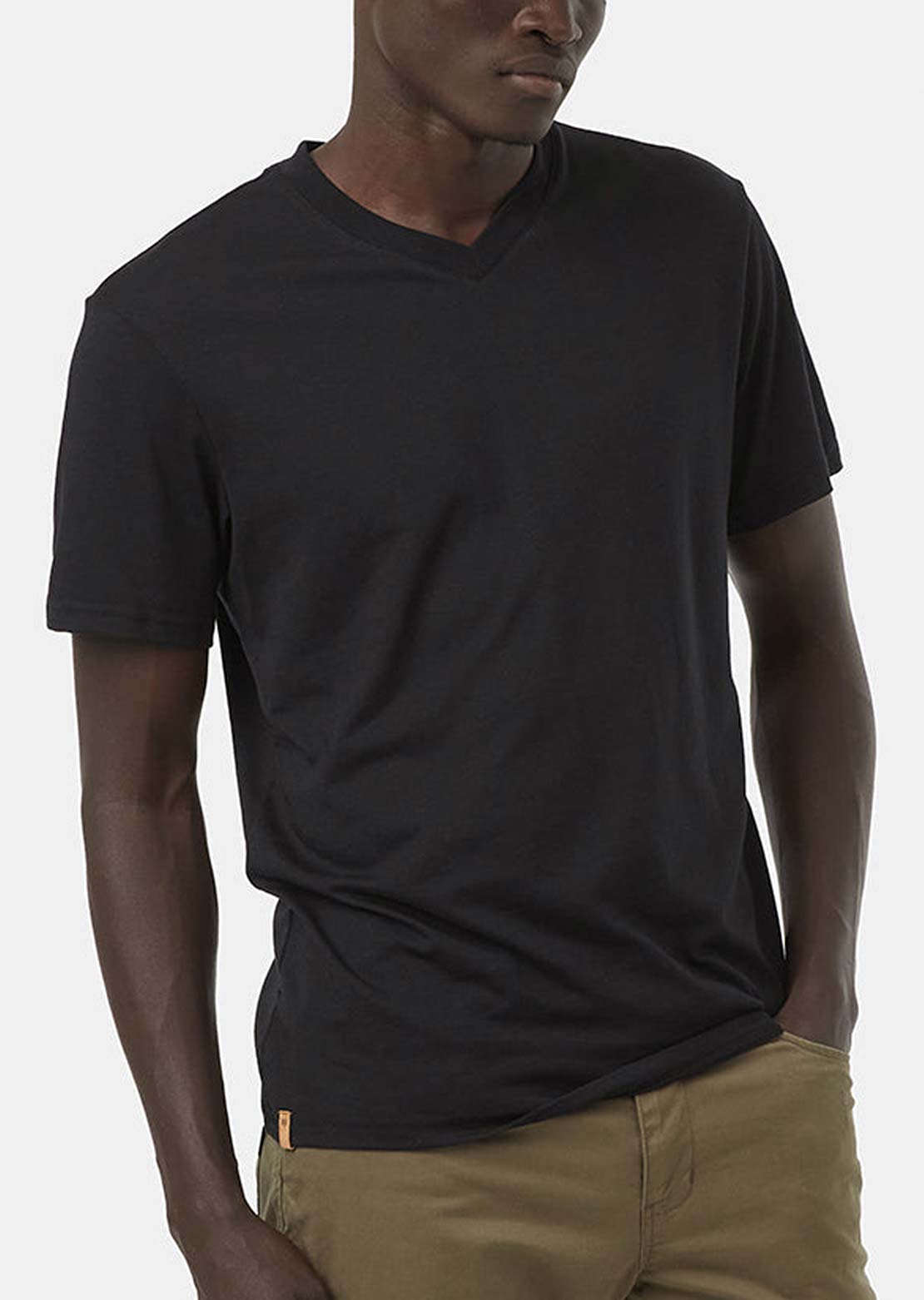 Tentree Men's TreeBlend V-Neck T-Shirt