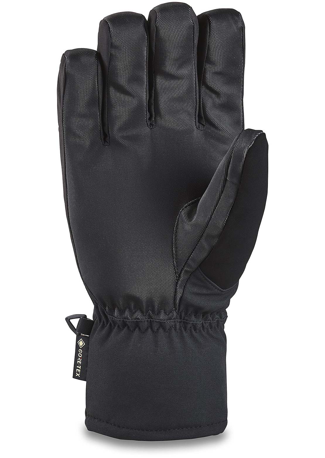 Dakine Men's Titan Gore-Tex Short Gloves