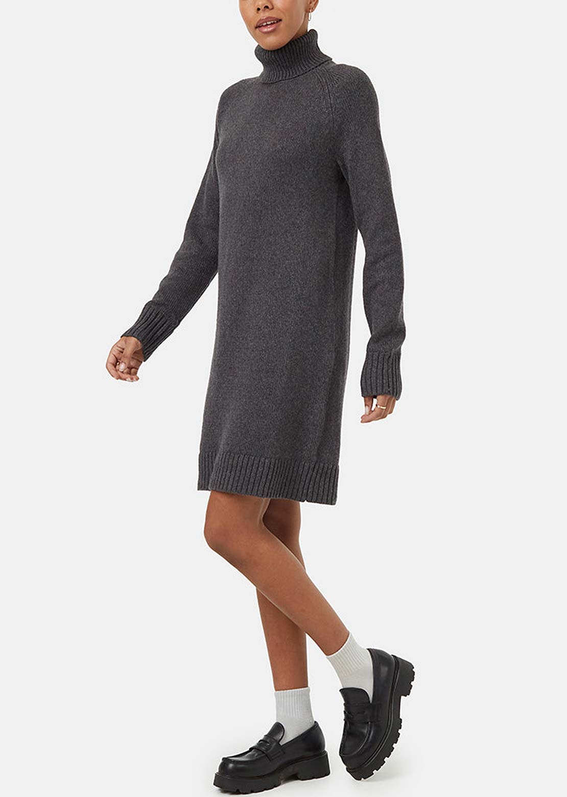 Tentree Women's Highline Turtleneck Dress