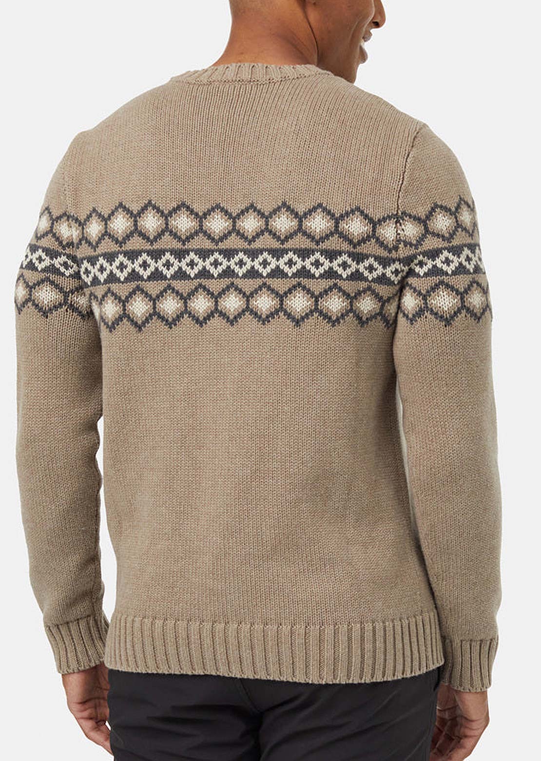 Tentree Men's Highline Intarsia Crew Sweater