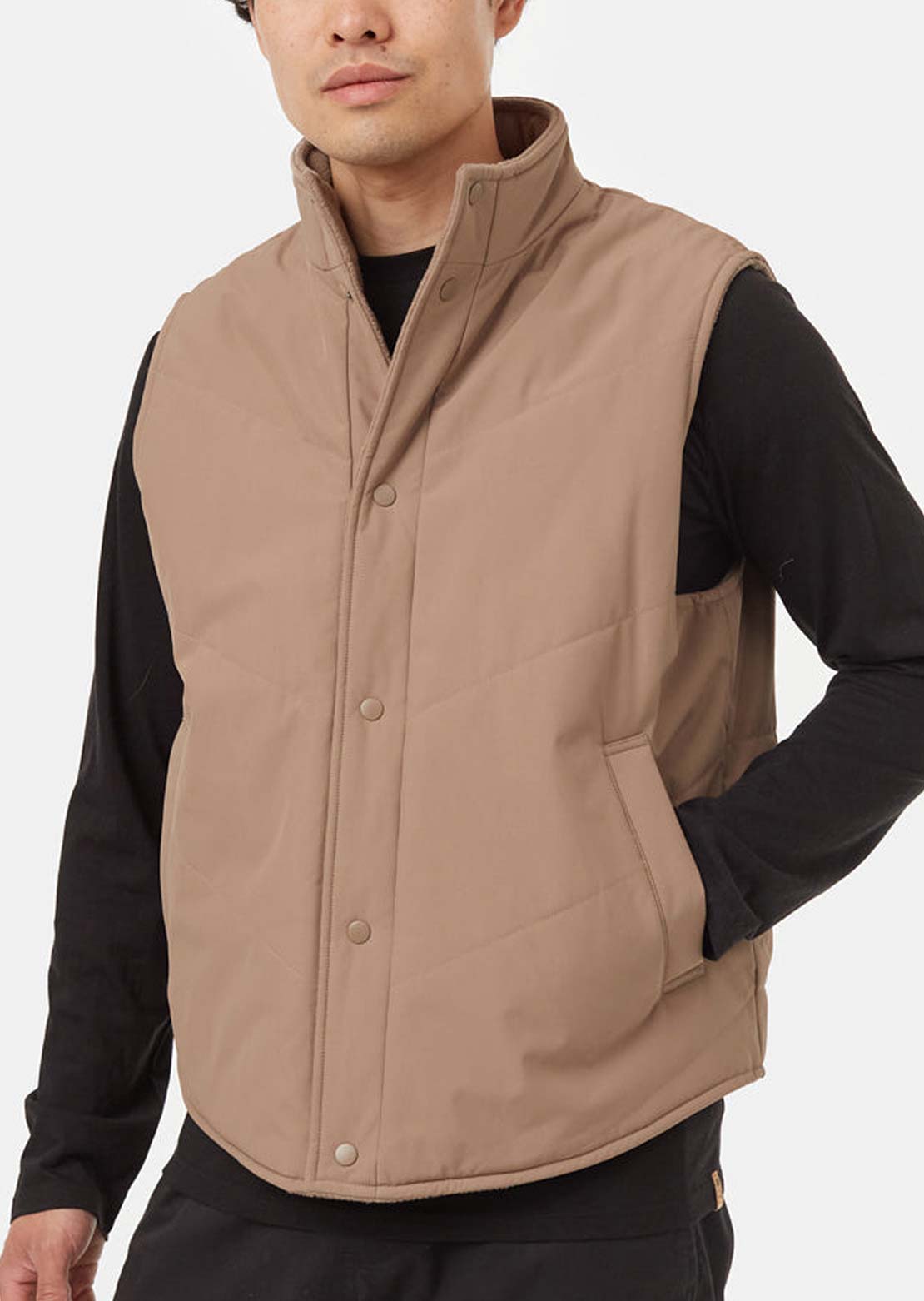 Tentree Men's Nimbus Reversible Vest