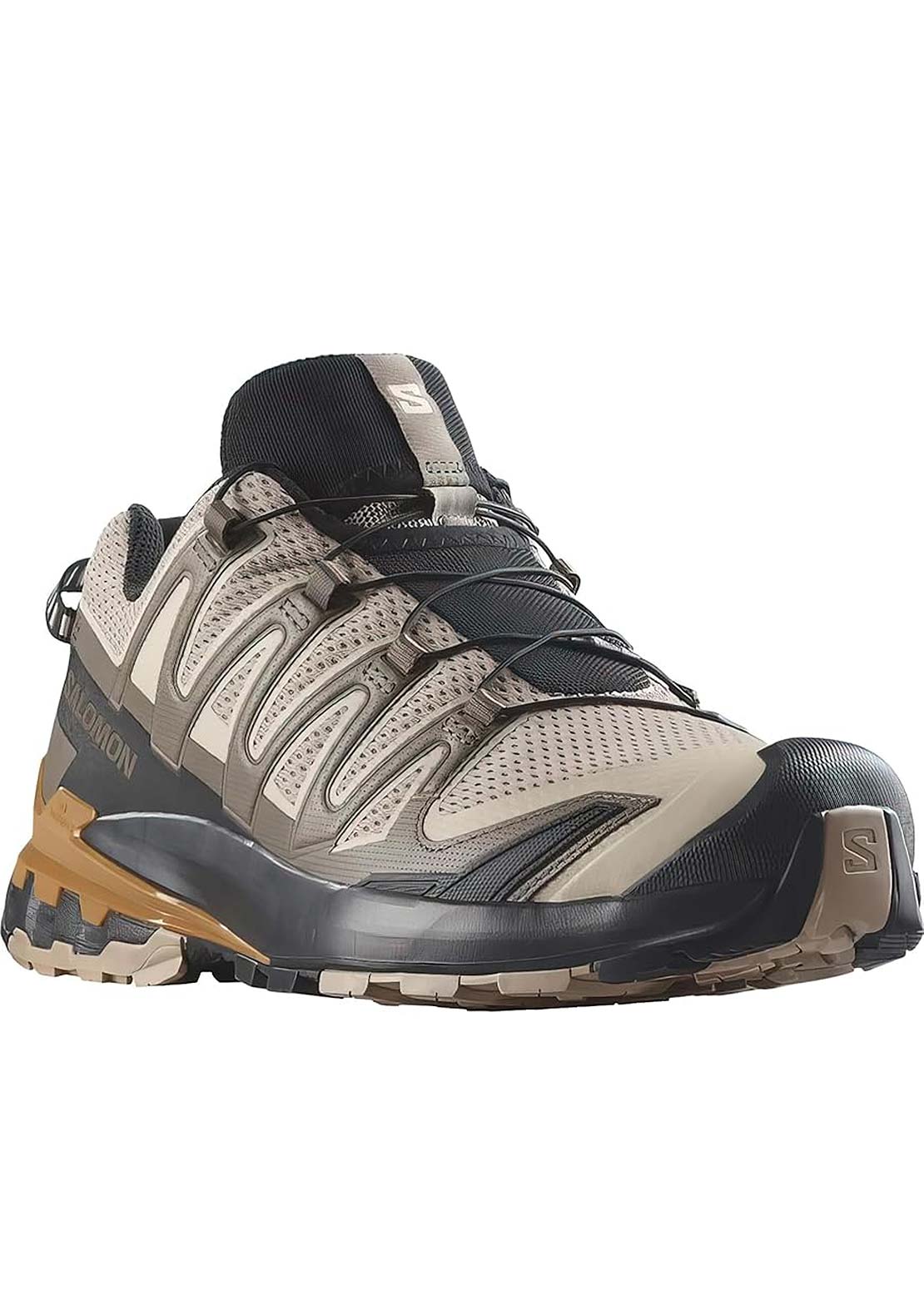 Salomon Men's XA Pro 3D V9 Shoes