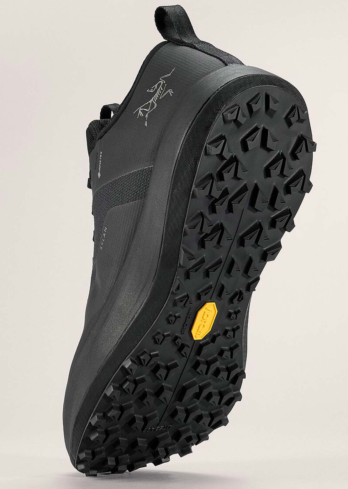 Arc'teryx Men's Sylan GTX Shoes