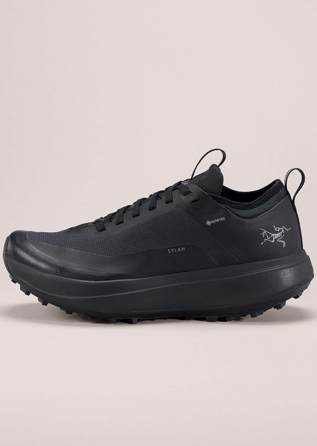 Arc'teryx Women's Sylan GTX Shoes