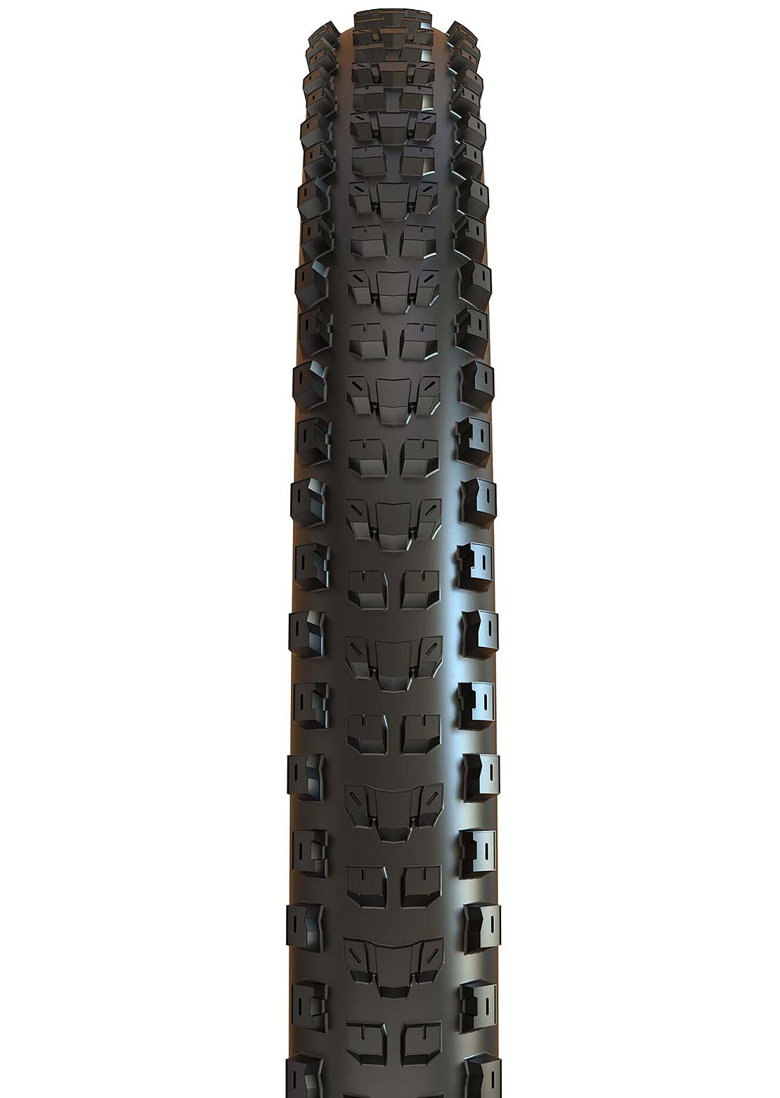 Maxxis Dissector F60TPI Mountain Bike Tires - 29 x 2.4 Outlet Reliable