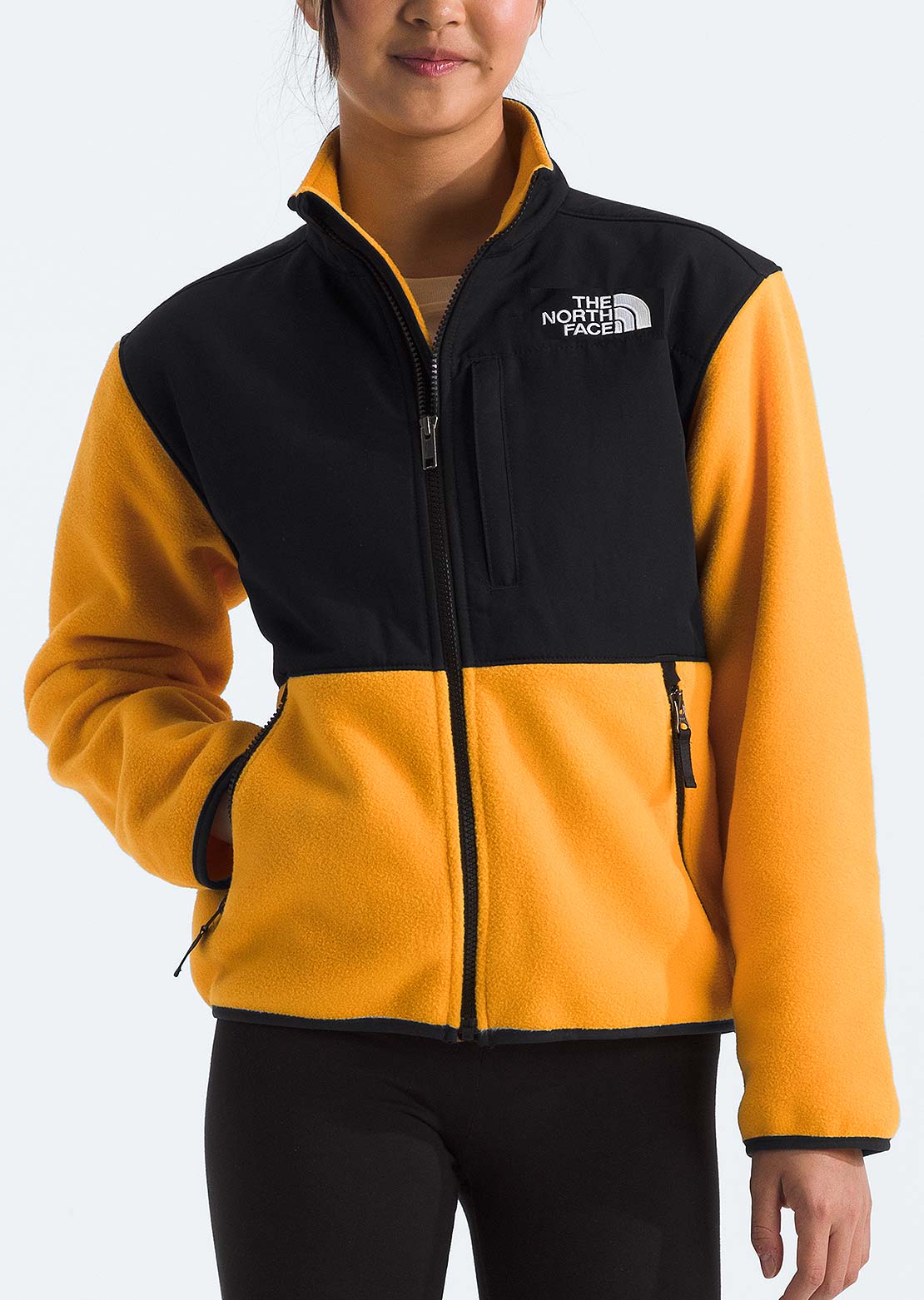 The North Face Toddler Denali Jacket Cheap Store