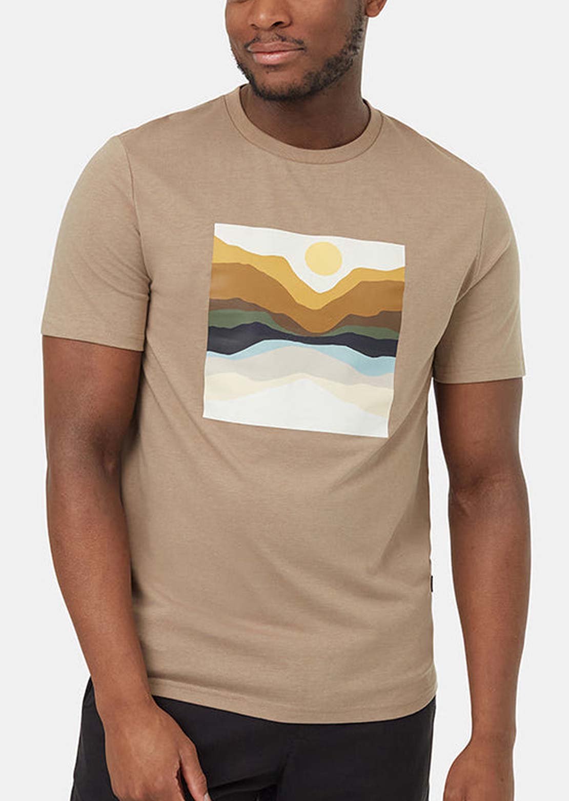 Tentree Men's Artist Series Oasis T-Shirt