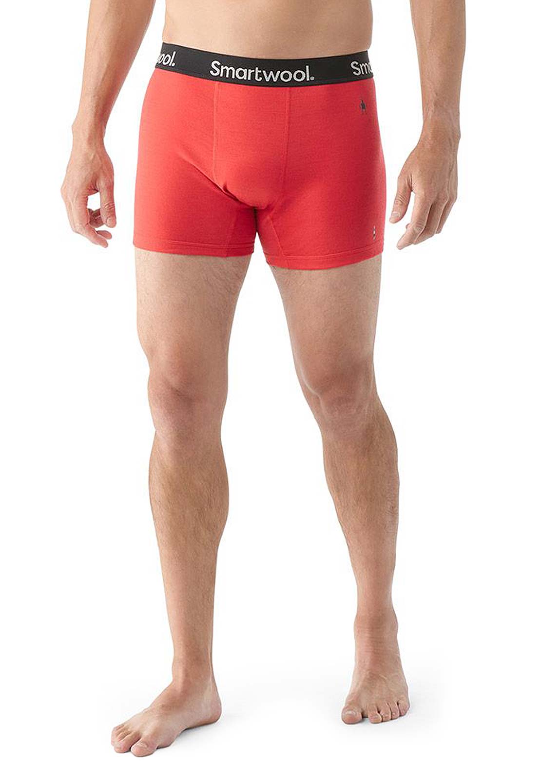 Smartwool Men's Boxer Boxed Briefs