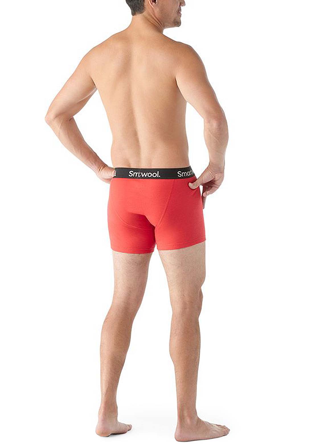 Smartwool Men's Boxer Boxed Briefs