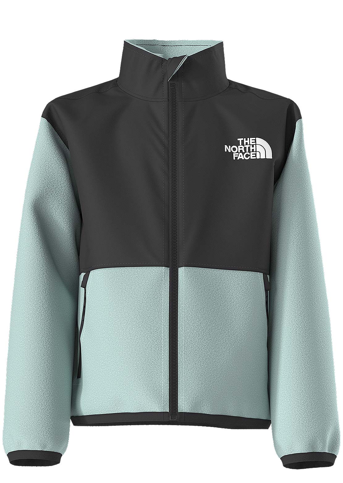 The North Face Toddler Denali Jacket Cheap Store